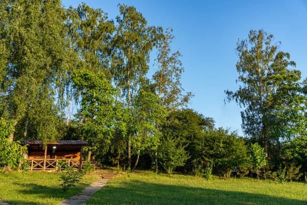 A wooden gazebo situated in a peaceful forest clearing, surrounded by lush trees and greenery.