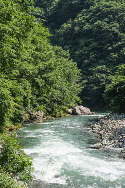 istock Upstream of the Arakawa River 2160982274