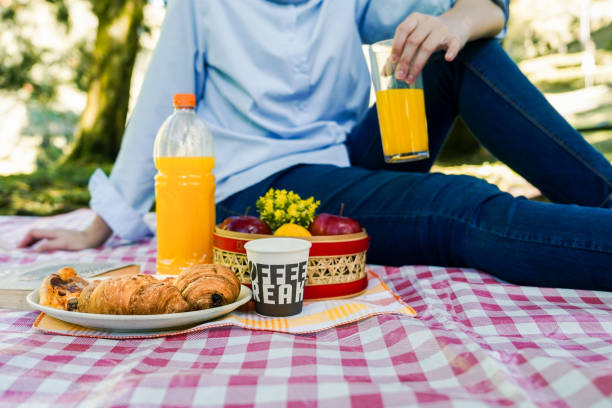 istock Summer Picnic Food and Drink 2160982407