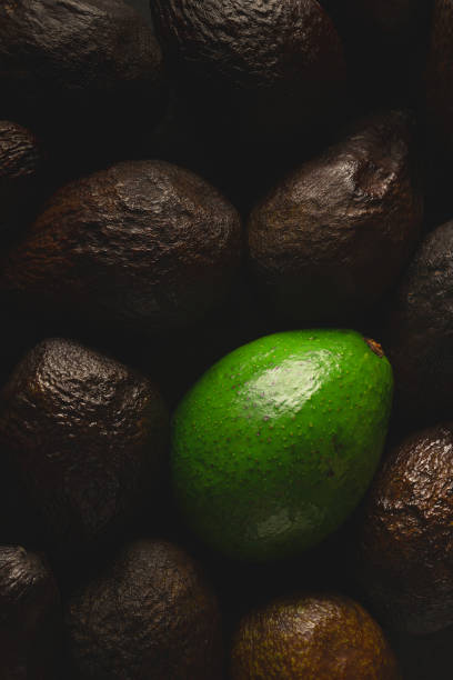 Bright green avocado contrasts with dark ripe avocados, emphasizing freshness in food concept