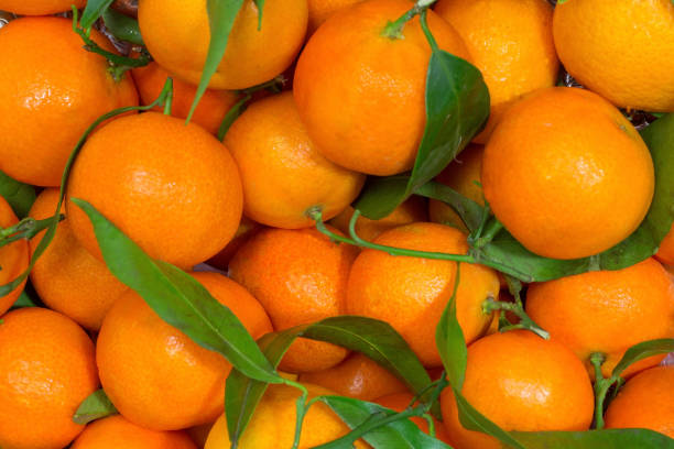 istock Tangerines with green leaves closeup 2160989211