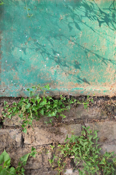istock Vertical picture of divided cemented plastered patch like blackboard painted green blank label with copy space on top edge of cracked weathered rock Stones or boulders with moss and plants making a tough rough rustic stonewall segregated backdrop 2160992121