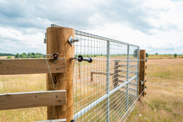 Newly erected farm field gate showing part of an electric fence which runs the perimeter of the large field. stock photo