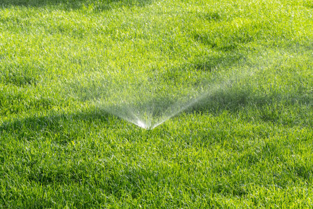 istock Lawn irrigation sprinkler watering green vegetation 2160994864