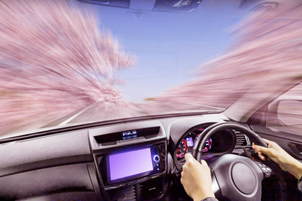 istock Image of a car running through nature 2160996012