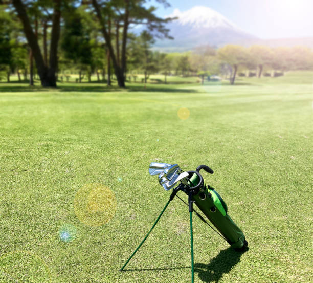 Golf courses and golf clubs with beautiful fresh greenery