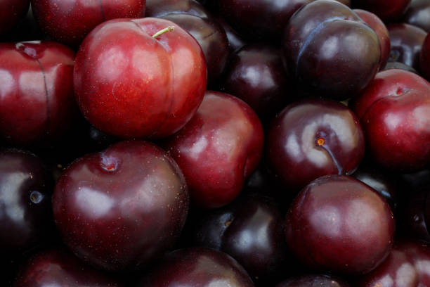 istock Ripe purple plums background 2160996564