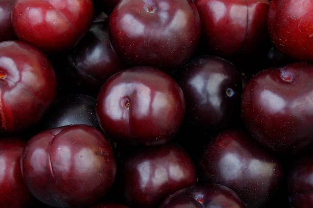 istock Ripe purple plums background 2160996581
