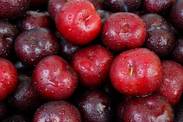 istock Plums fruits with water drops as background. 2160996584