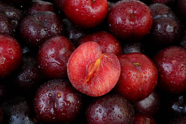 istock Plums fruits with water drops as background. 2160996594