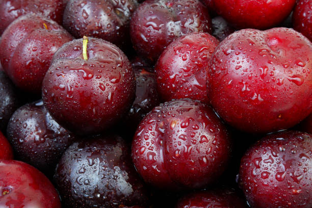istock Plums fruits with water drops as background. 2160996603