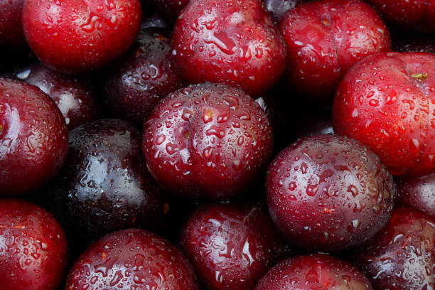 istock Plums fruits with water drops as background. 2160996612