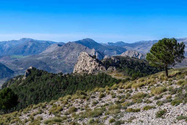 istock Panoramic view on trail to Maroma peak 2161002879