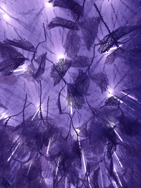 istock A modern background with a pattern of leaves and branches 2161004694