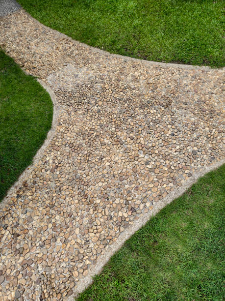 istock Stone walkway through green lawn with lush foliage 2161005089