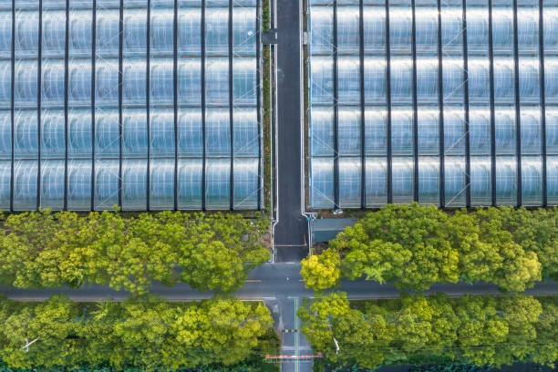 istock view of plastic greenhouse in field 2161007167