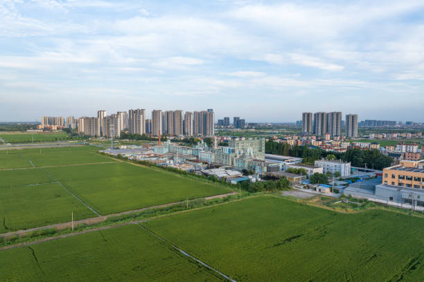 istock view of agricultural field 2161007424