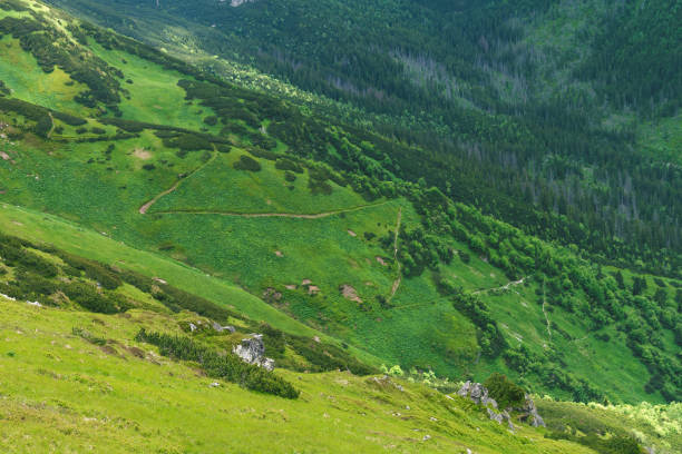 Winding mountain path on a mountain slope. Close-up. Tatra Mountains, Poland.