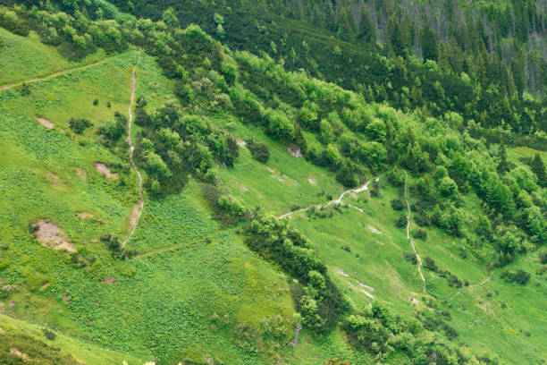 Winding mountain path on a mountain slope. Close-up. Tatra Mountains, Poland.