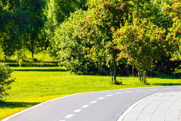 fragment of a bicycle path in a park, without people. empty bike path