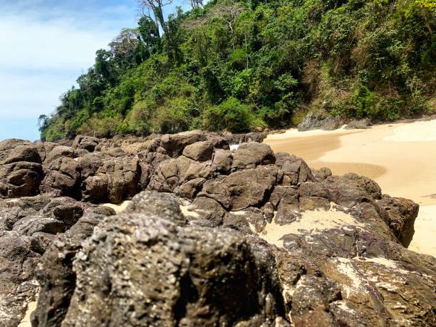 istock Sand and Stones Sand Beach 2161014897