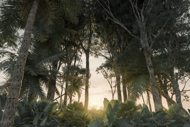 istock Green jungle in the evening sunshine. 3D Rendering 2161015249