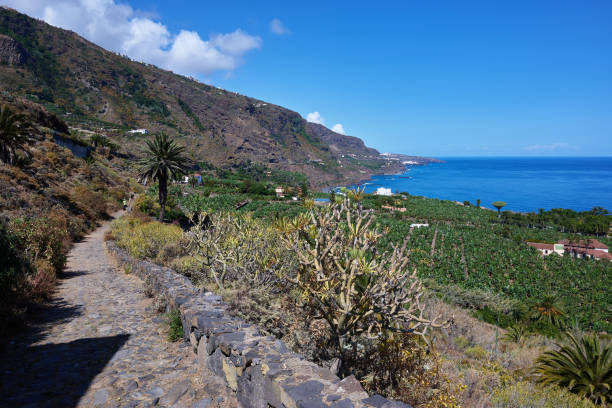 istock View of the Atlantic coast from Rambla de Castro, Tenerife Spain 2161016880