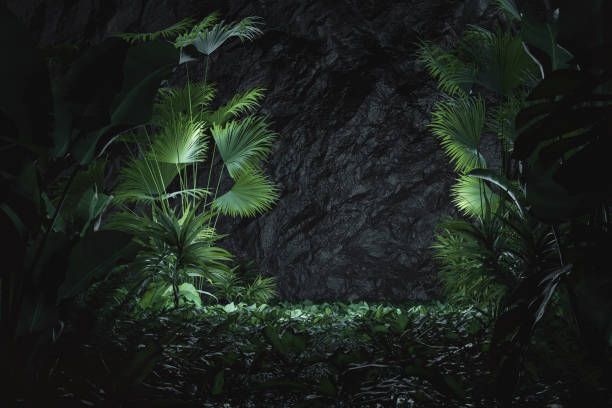 istock Tropical backdrop surrounded by jungle trees with light spot at rock wall 2161017900
