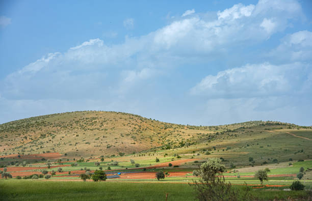 A beautiful landscape with a blue sky and a hill in the background. The hill is covered with trees and grass