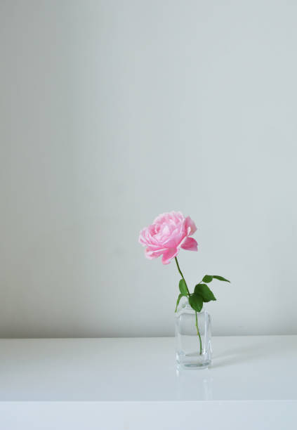 istock Minimalism home decoration with pastel pink rose in a jar 2161024177