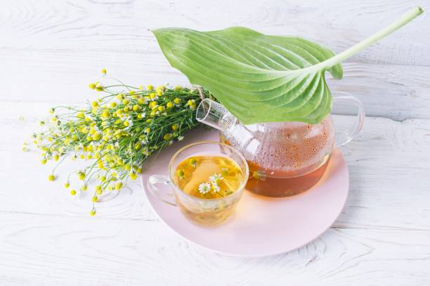 istock Herbal medicinal tea with chamomile flowers in a glass teapot 2161026038