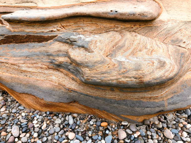 istock Torrey Pines State Reserve South Beach Low Tide Walk Natural Patterns 2161030507
