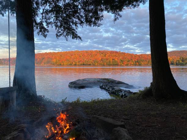 Beautiful autumn day on a lake. Colorful trees in the distance. Camp fire roaring and two large trees.