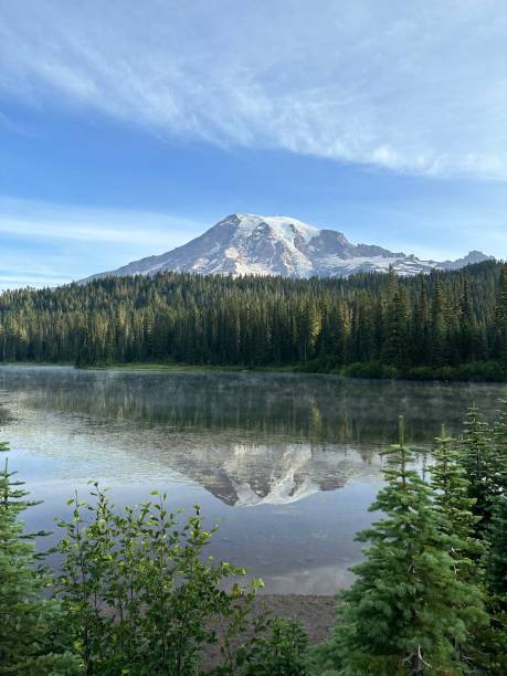 reflejo del agua del monte rainier - monte rainier fotografías e imágenes de stock