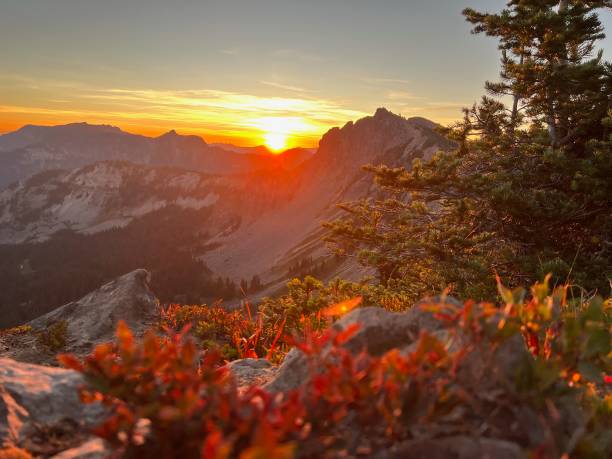 istock Sunrise Over Rocky Mountain 2161033270