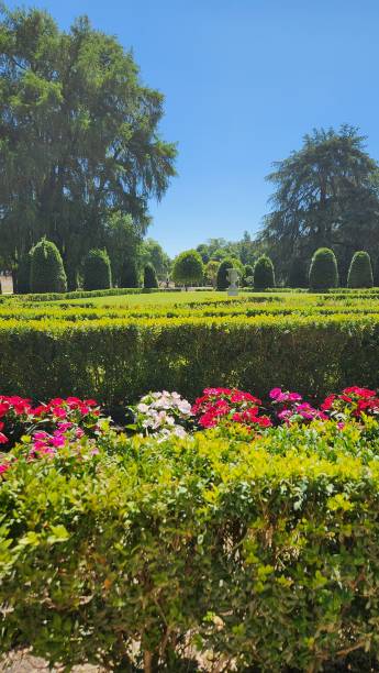 istock Garden in El Retiro Park 2161040827