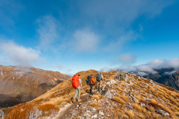 istock Group of active hikers walks uphill in mountains. 2161059327
