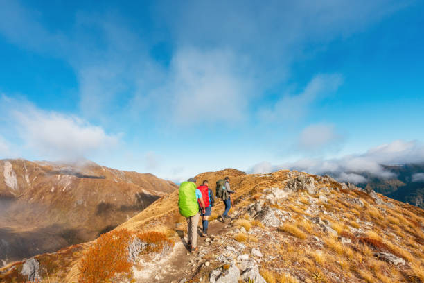 Group of people walking through the Kepler track, Fiordland National Park , South Island, New Zealand.