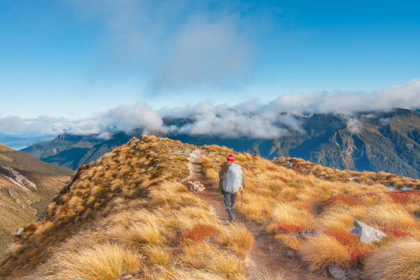 istock Where the trail takes you. 2161059358