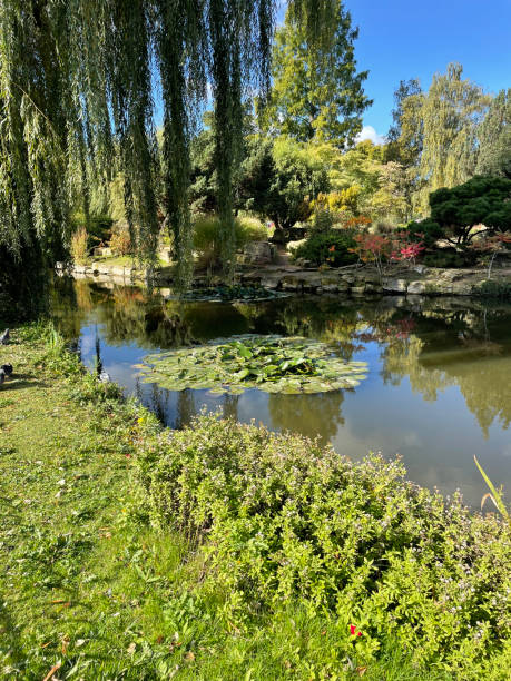 istock Stunning lake in London 2161059717