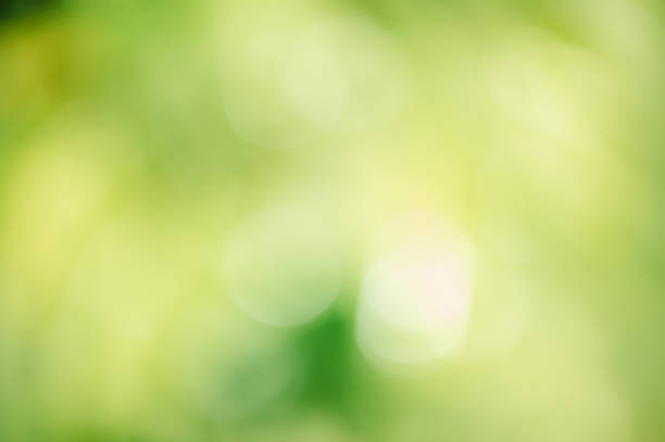 istock Defocus light as background. Blurred green natural background 2161060548