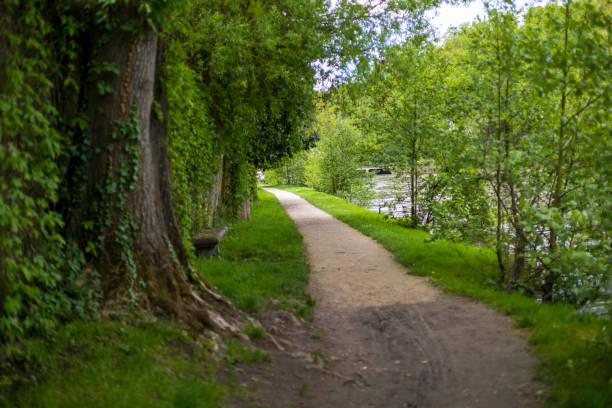 istock Pathway Along a Canal with Lush Green Trees 2161081033