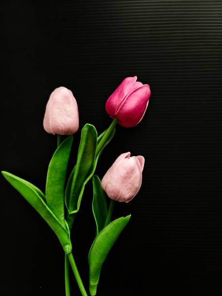 istock Defocused view of artificial tulips isolated on black background with copy space 2161084008
