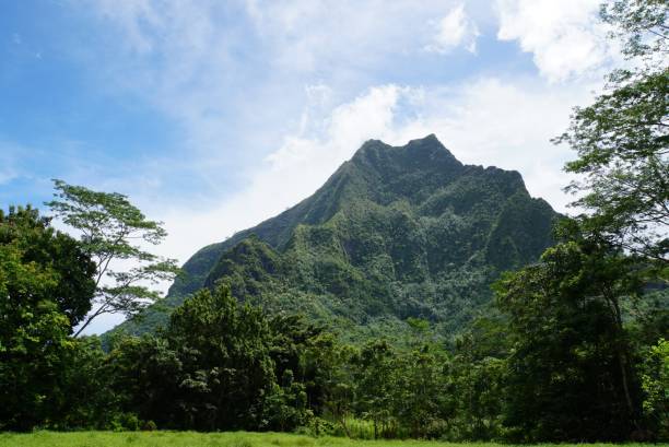 istock Mt Rotui view - Moorea Island 2161084355