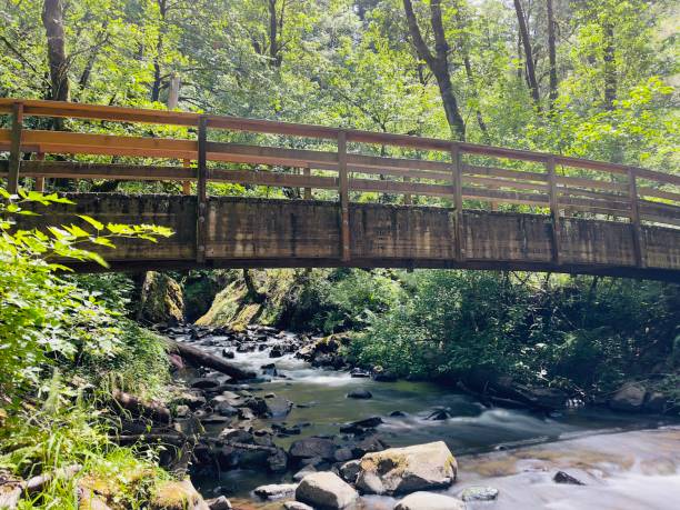 istock Bridal Veil Falls, Oregon 2161087681