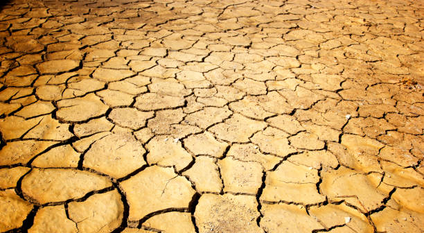 istock The ground is brown caused by drought and global 2161089887