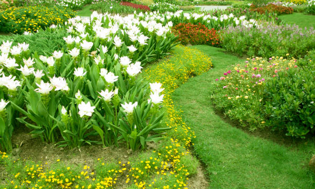 Summer garden