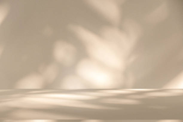 istock Wall interior background, studio and backdrops show products.with shadow leaf from window color white and beige . background for text insertion and presentation product 2161089989