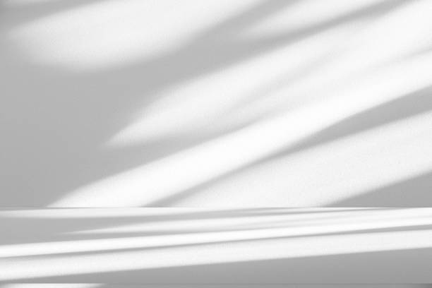 istock Wall interior background, studio and backdrops show products.with shadow from window color white . background for text insertion and presentation product 2161090034