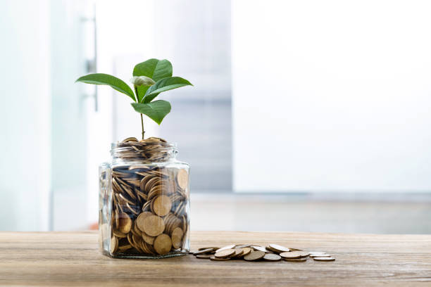 istock Green plant growing from the coins jar 2161094784